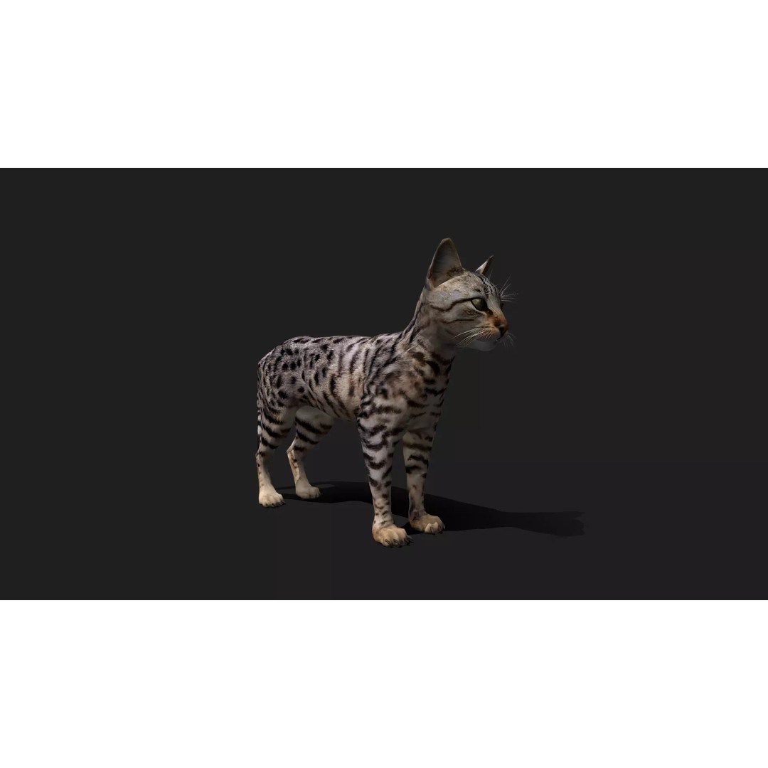 Ultimate Animal Mega Bundle 3D Model – Low Poly Rigged Animals, FBX, Blender - View 90