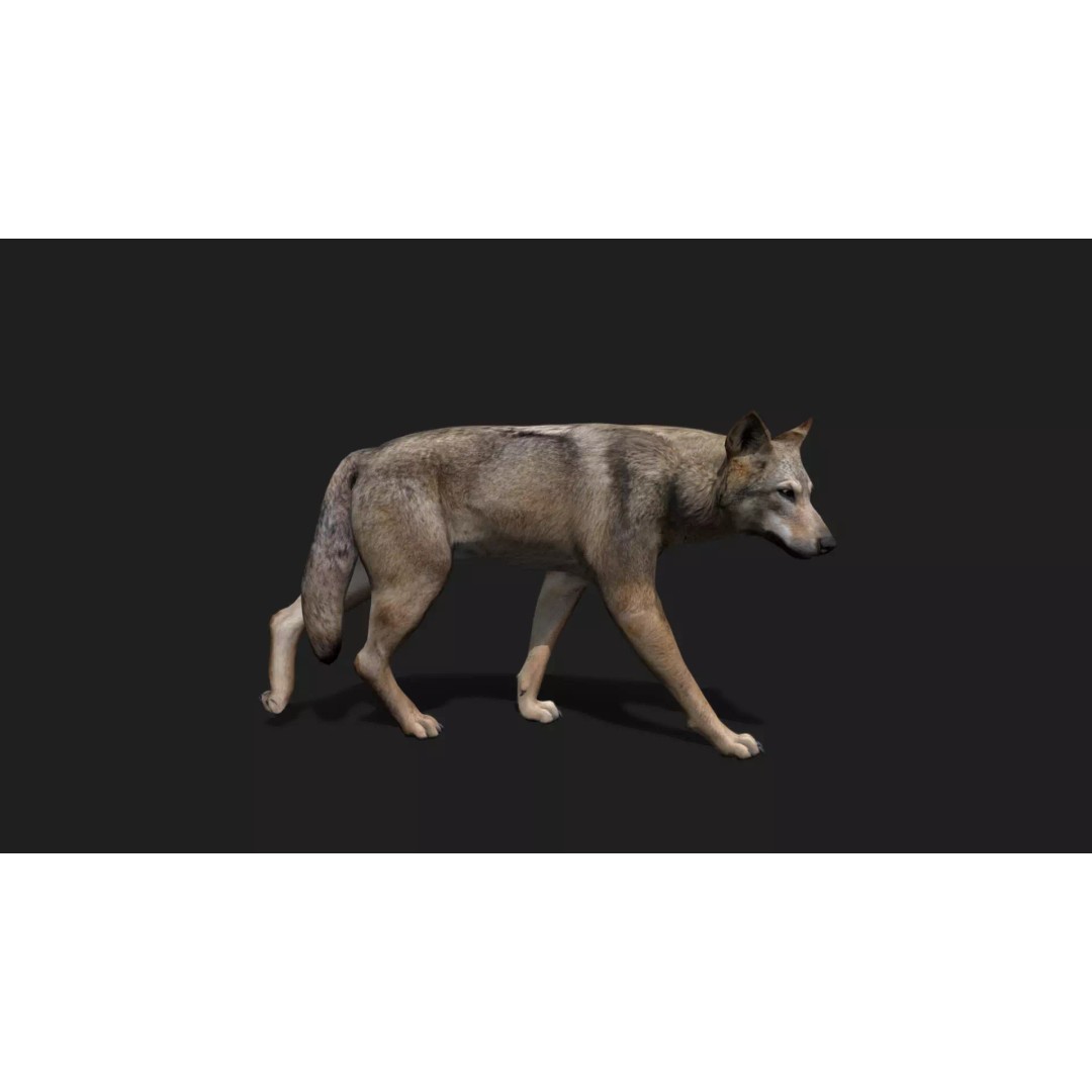 Ultimate Animal Mega Bundle 3D Model – Low Poly Rigged Animals, FBX, Blender - View 91