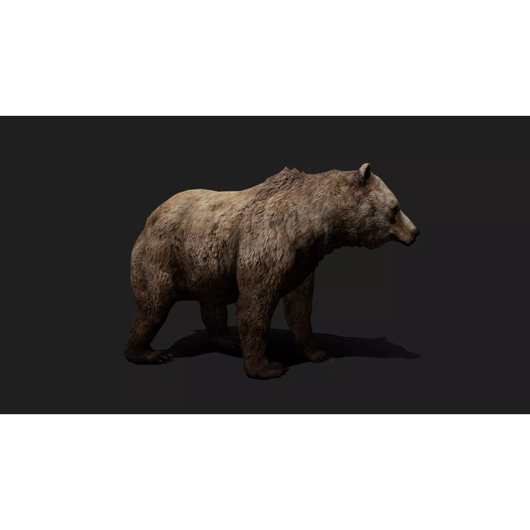 Ultimate Animal Mega Bundle 3D Model – Low Poly Rigged Animals, FBX, Blender - View 92