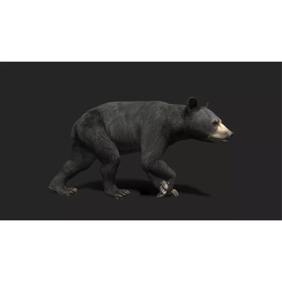 Ultimate Animal Mega Bundle 3D Model – Low Poly Rigged Animals, FBX, Blender - View 94