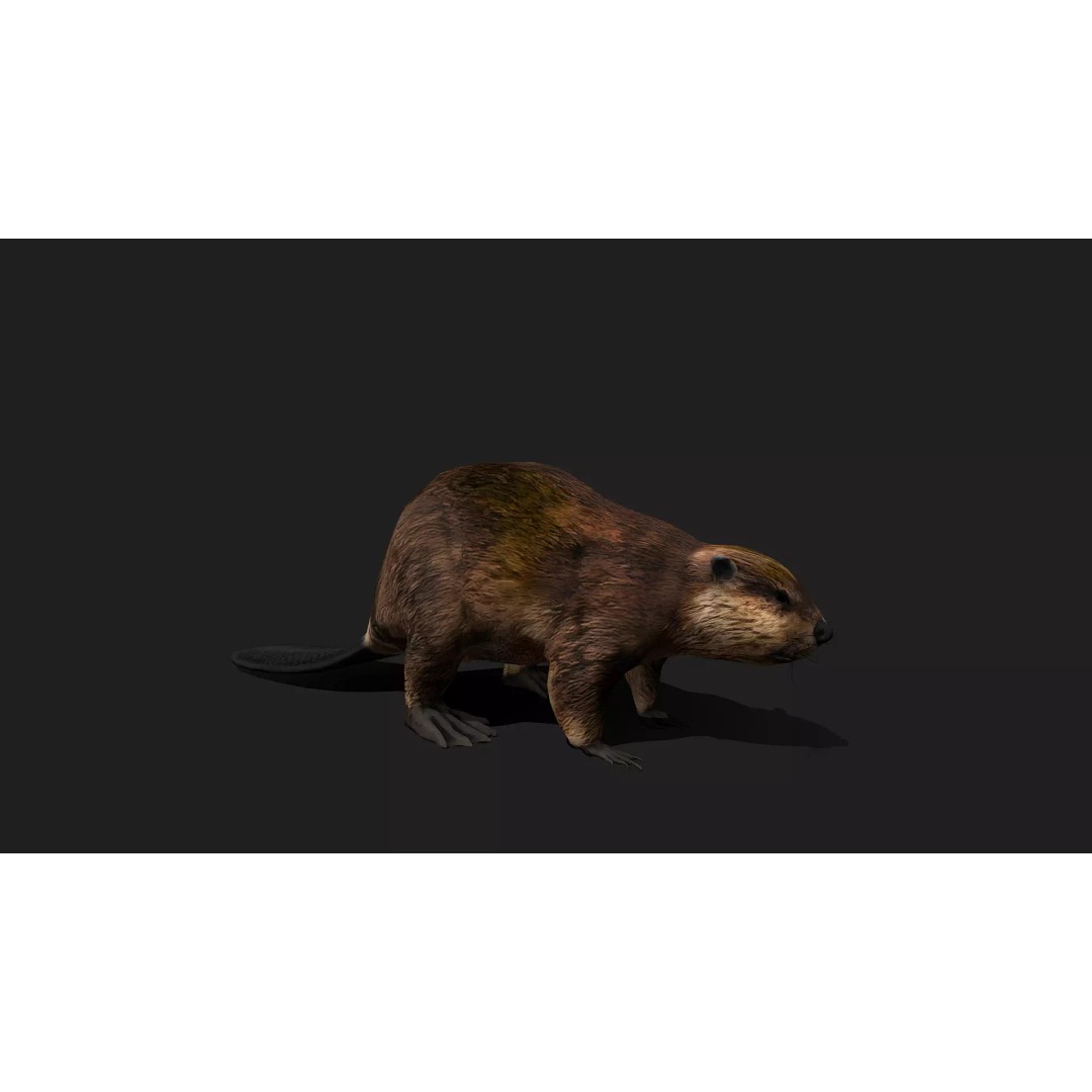 Ultimate Animal Mega Bundle 3D Model – Low Poly Rigged Animals, FBX, Blender - View 98