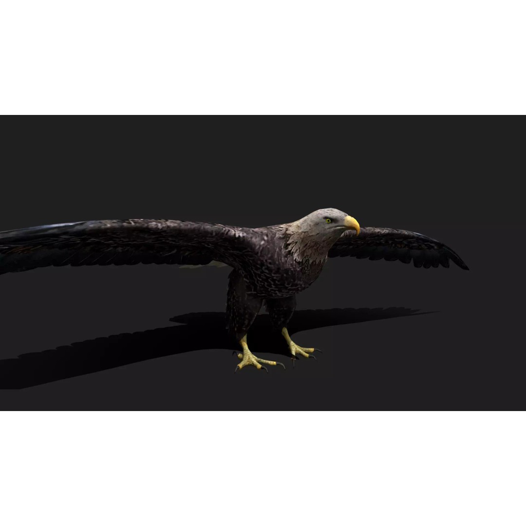 Ultimate Animal Mega Bundle 3D Model – Low Poly Rigged Animals, FBX, Blender - View 99
