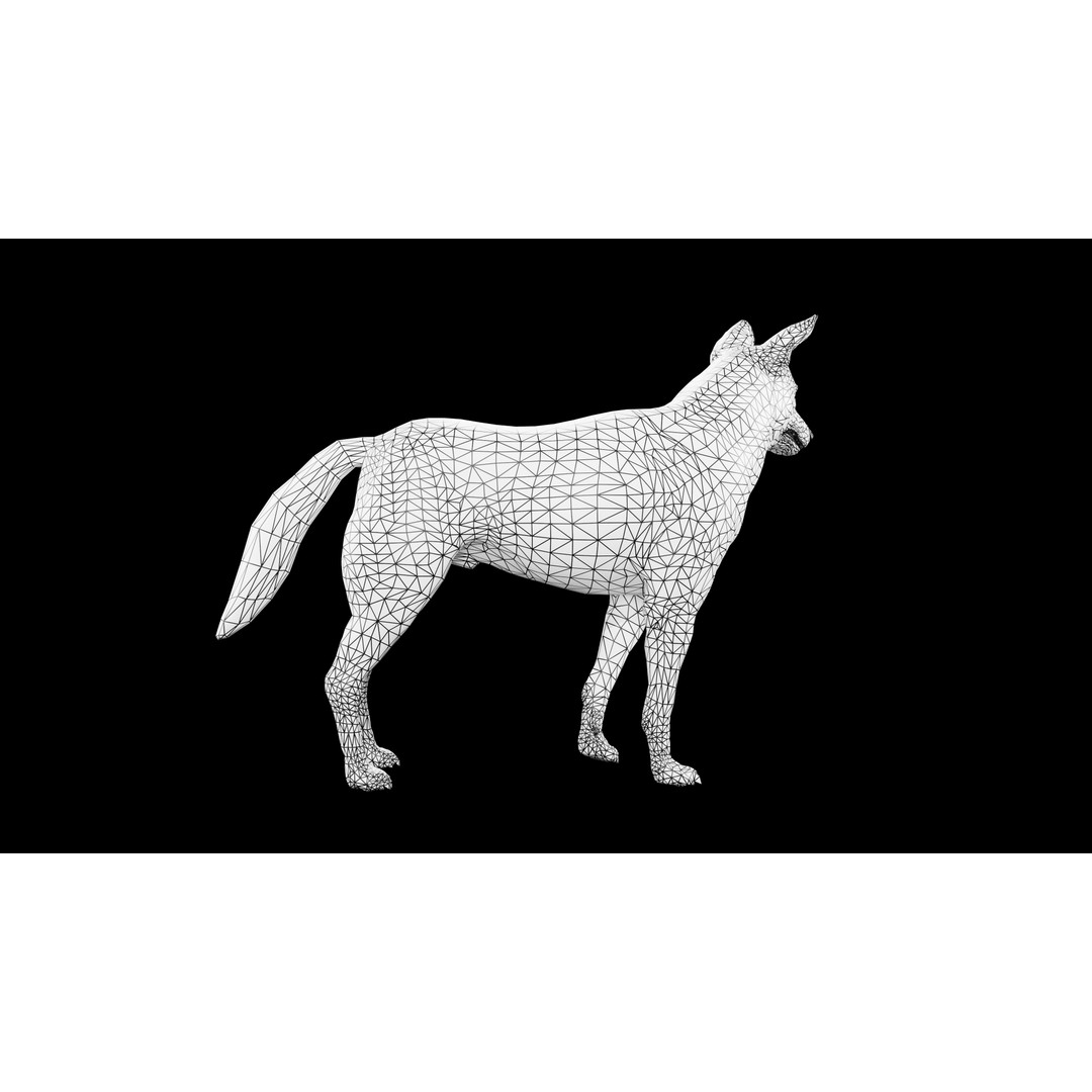 Wolf 3D Model – Low Poly Rigged Character for Animation, FBX - View 10
