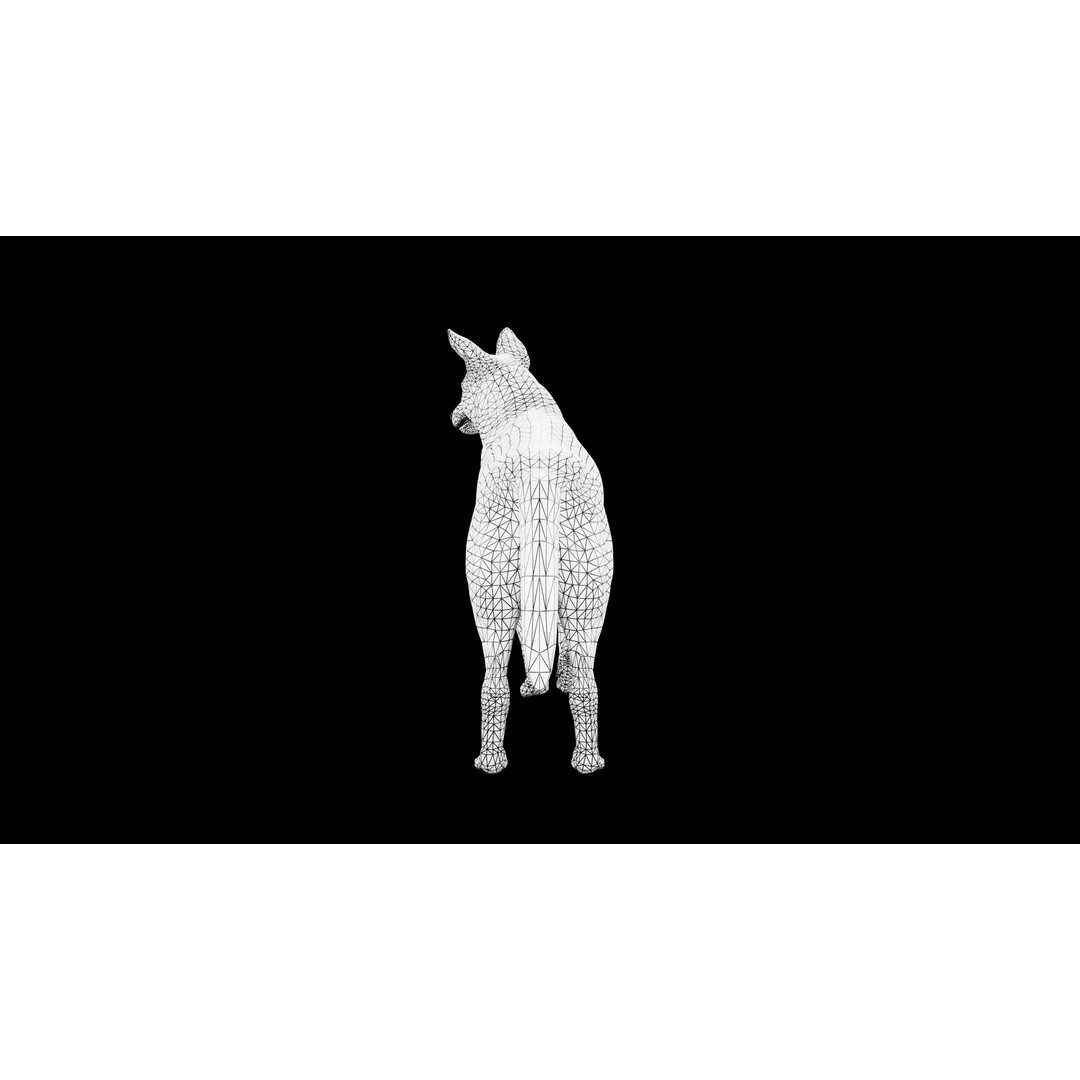 Wolf 3D Model – Low Poly Rigged Character for Animation, FBX - View 11