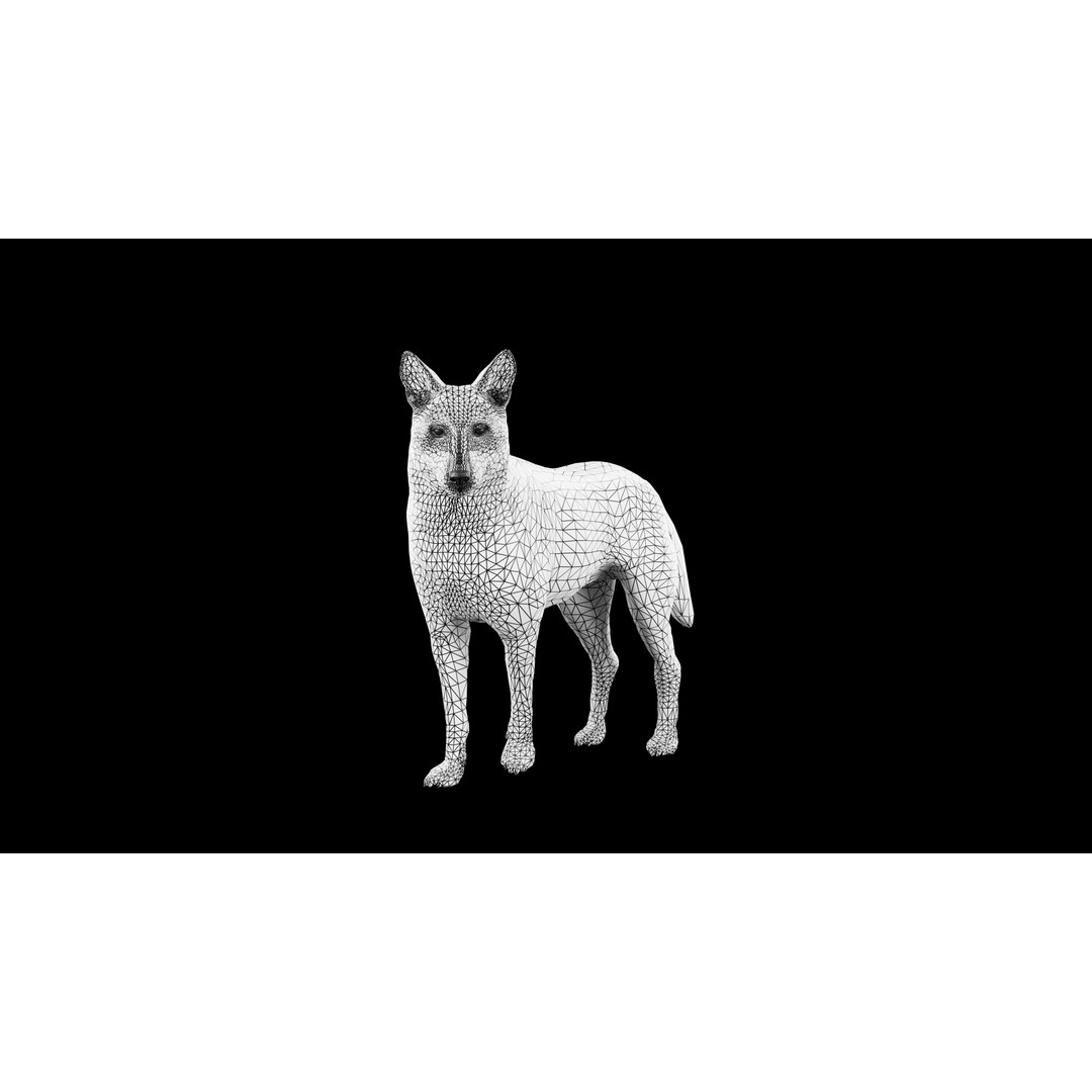 Wolf 3D Model – Low Poly Rigged Character for Animation, FBX - View 12