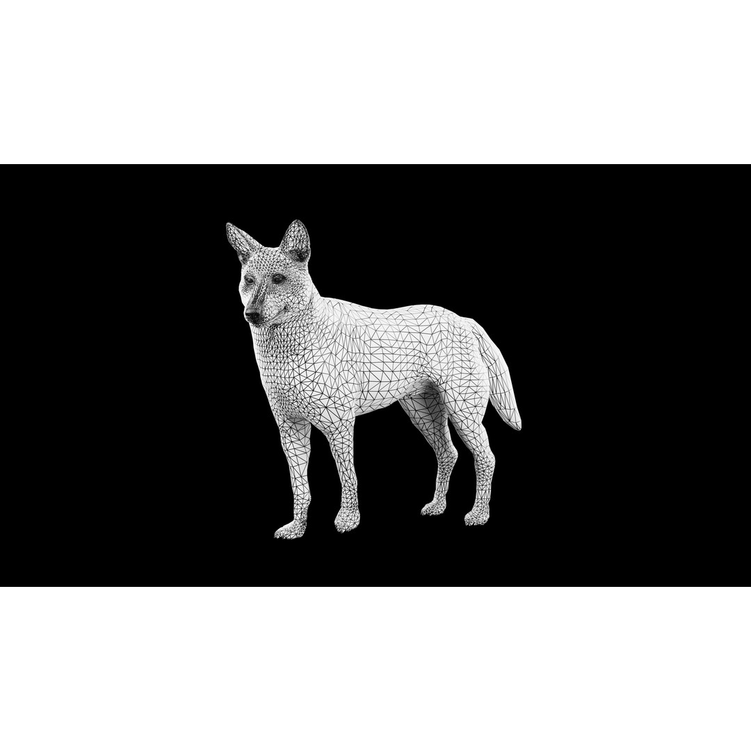 Wolf 3D Model – Low Poly Rigged Character for Animation, FBX - View 8