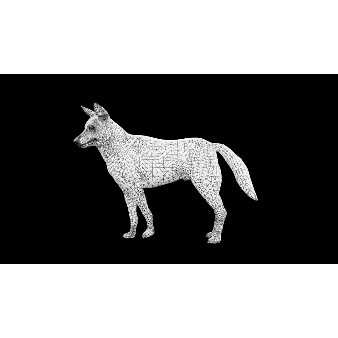 Wolf 3D Model – Low Poly Rigged Character for Animation, FBX - View 9