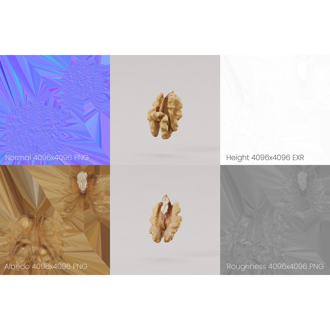 Realistic Walnut 3D Model – Photogrammetry PBR Asset, OBJ/FBX