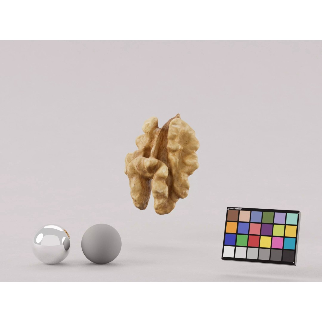 Realistic Walnut 3D Model – Photogrammetry PBR Asset, OBJ/FBX - View 2