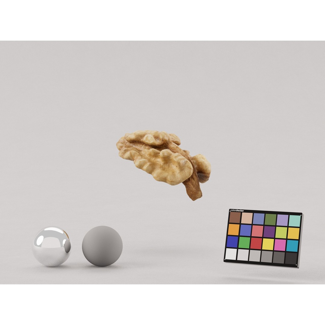 Realistic Walnut 3D Model – Photogrammetry PBR Asset, OBJ/FBX - View 6