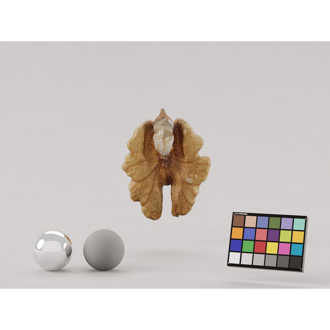Realistic Walnut 3D Model – Photogrammetry PBR Asset, OBJ/FBX - View 7