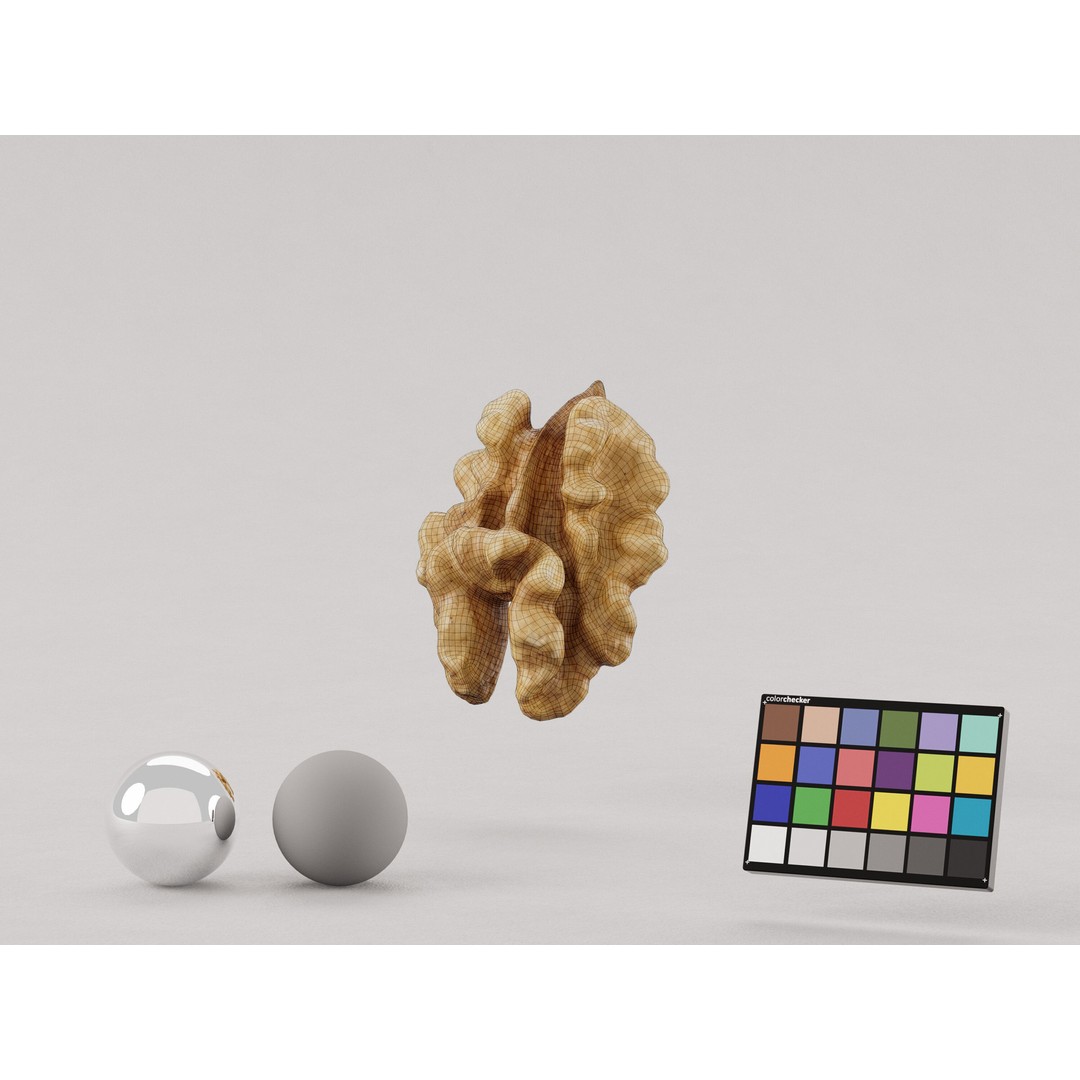 Realistic Walnut 3D Model – Photogrammetry PBR Asset, OBJ/FBX - View 8