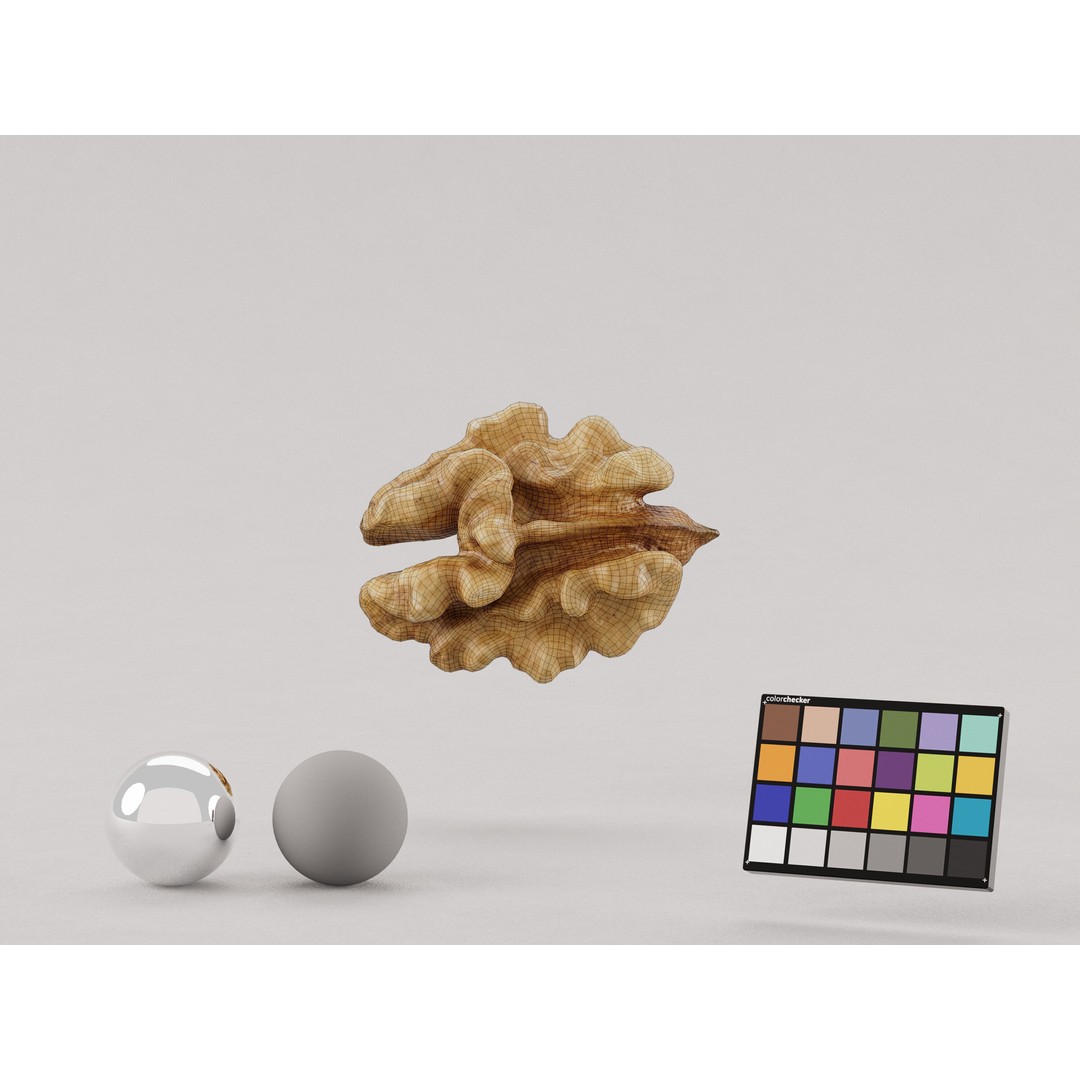 Realistic Walnut 3D Model – Photogrammetry PBR Asset, OBJ/FBX - View 9