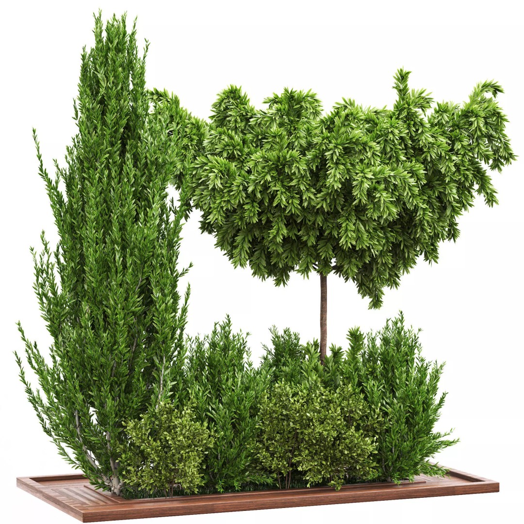 Garden Tree and Bush 3D Model – PBR Vegetation Asset, FBX - View 2