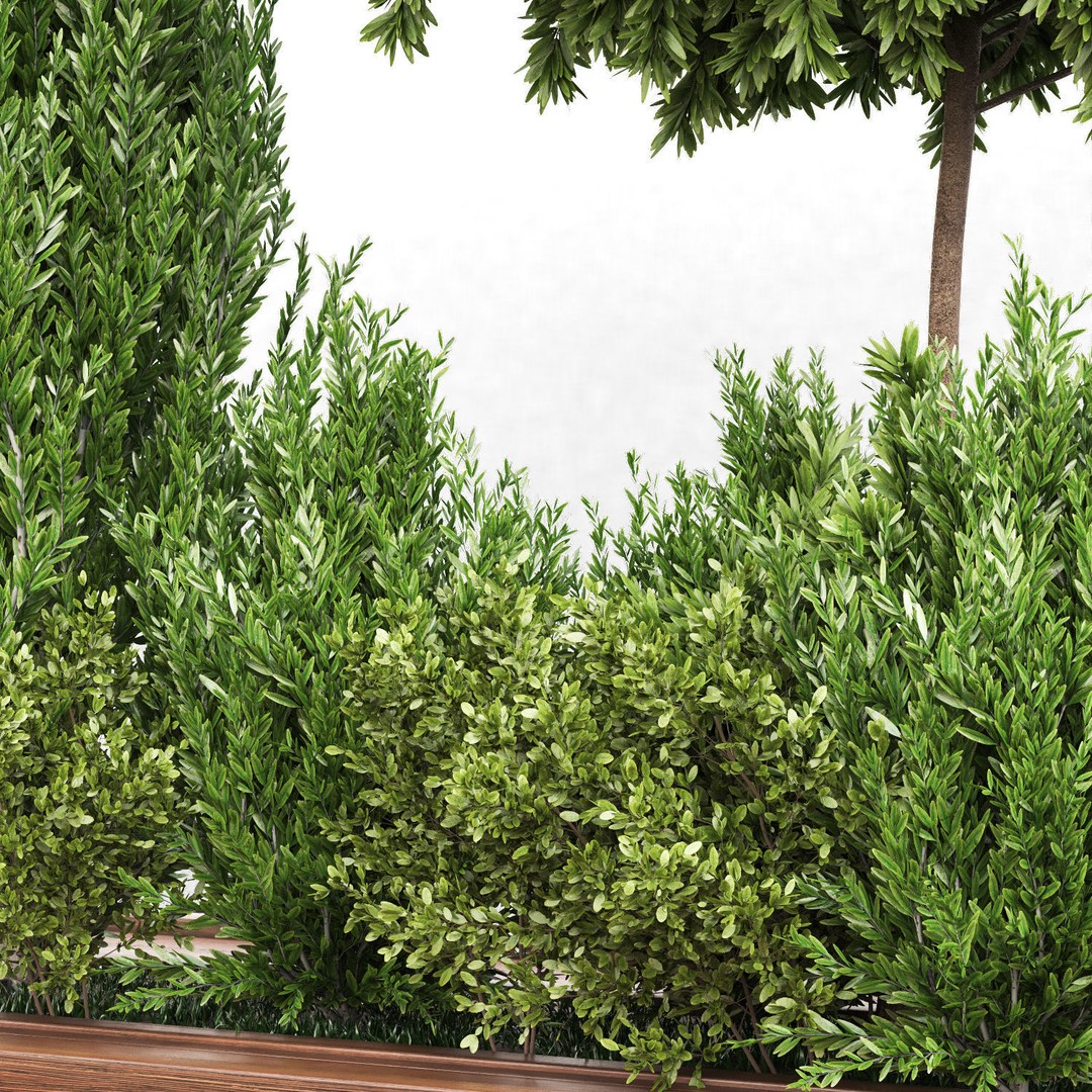 Garden Tree and Bush 3D Model – PBR Vegetation Asset, FBX - View 3
