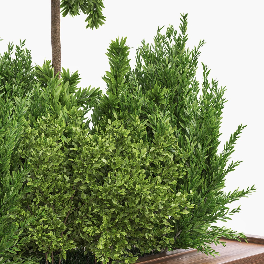Garden Tree and Bush 3D Model – PBR Vegetation Asset, FBX - View 4