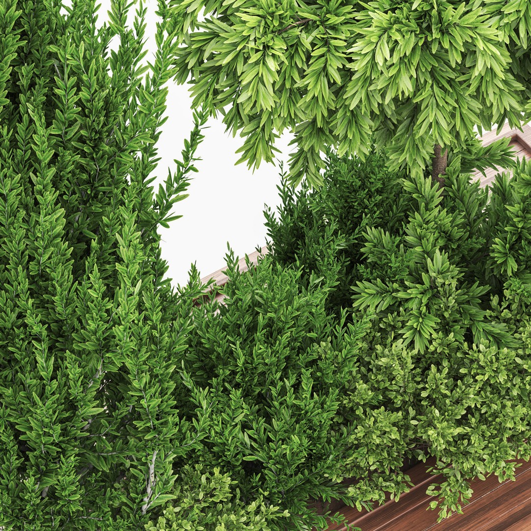Garden Tree and Bush 3D Model – PBR Vegetation Asset, FBX - View 5
