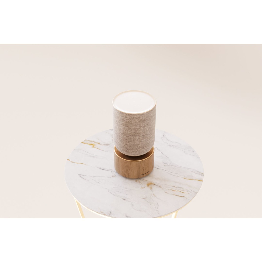 Luxury Bluetooth Speaker 3D Model – Photorealistic Wood & Mesh Design, FBX - View 10