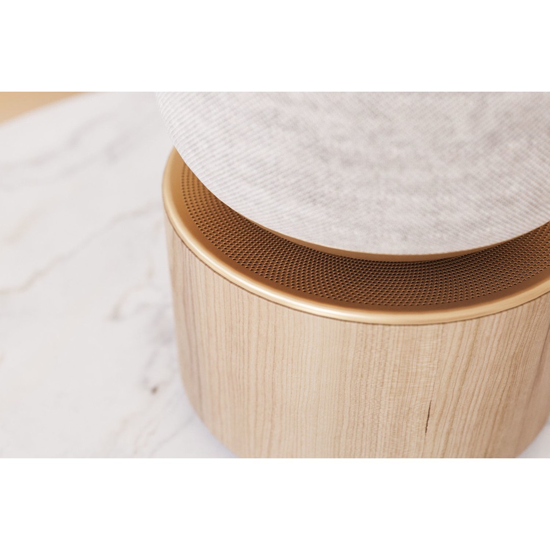 Luxury Bluetooth Speaker 3D Model – Photorealistic Wood & Mesh Design, FBX - View 12