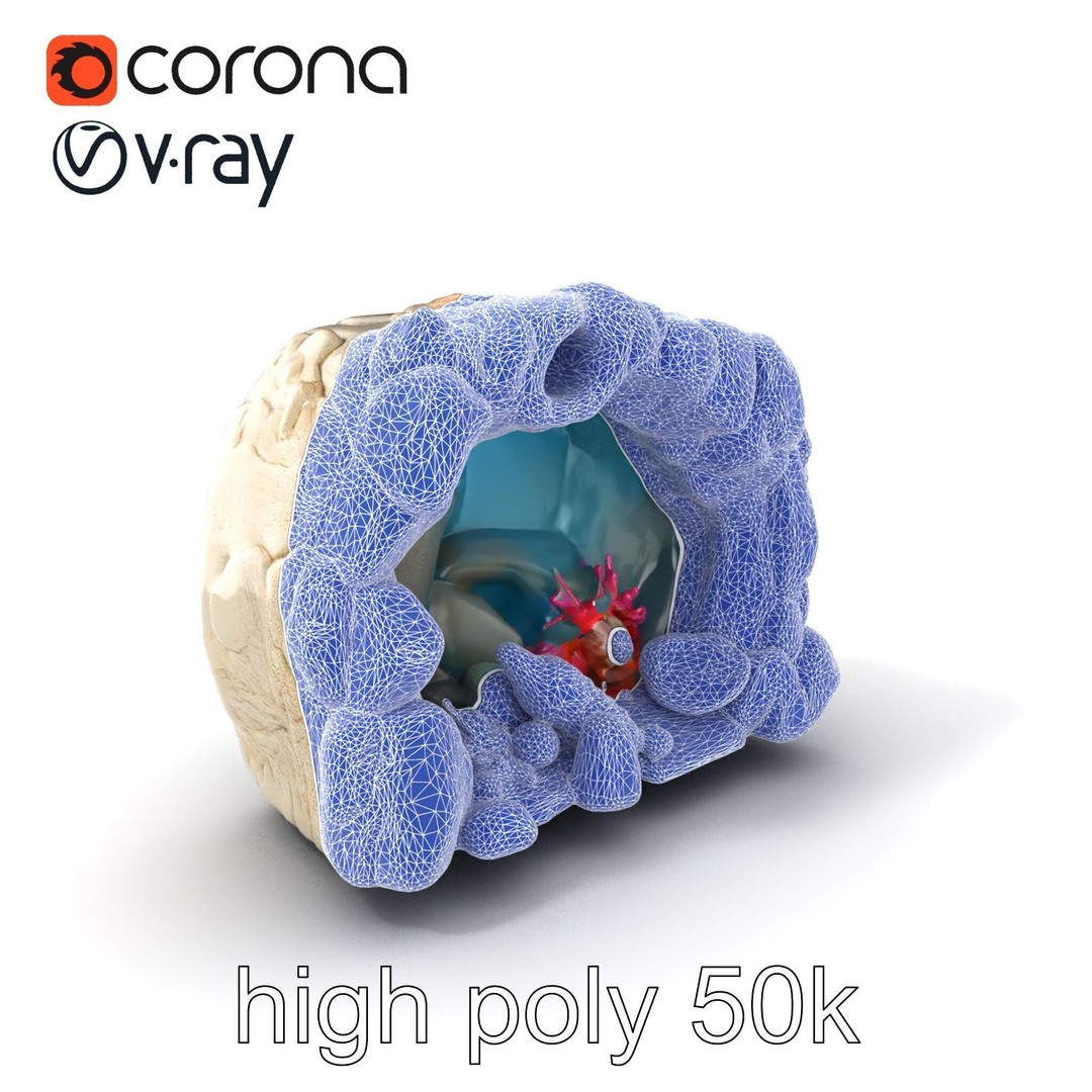 Underwater Grotto 3D Model – Low Poly Marine Life Pack, FBX - View 11