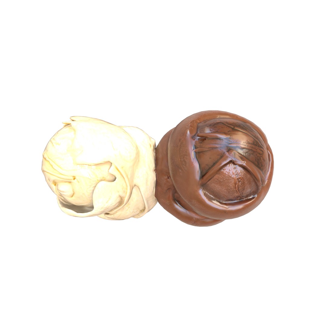 Realistic Ice Cream 3D Model – Low Poly Game Asset, FBX, PBR Textures - View 11