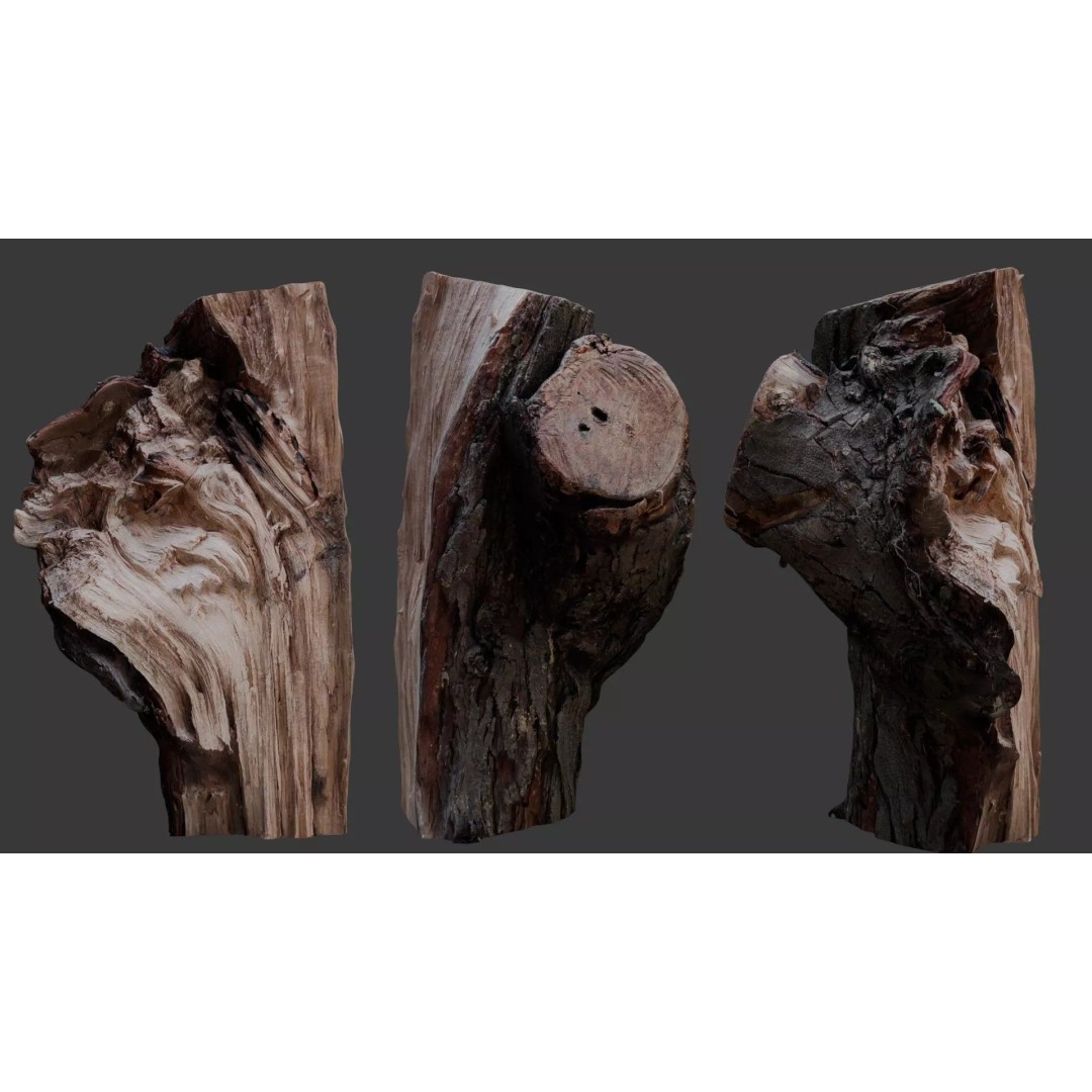 Weathered Tree Stump 3D Model – Low Poly PBR Asset for Games and Visuals - View 2