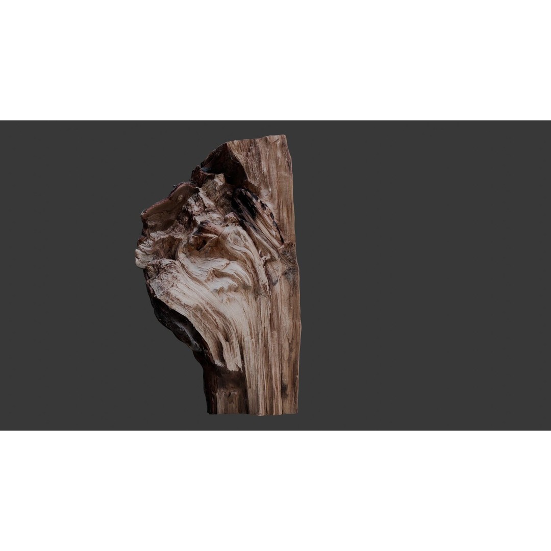 Weathered Tree Stump 3D Model – Low Poly PBR Asset for Games and Visuals - View 3
