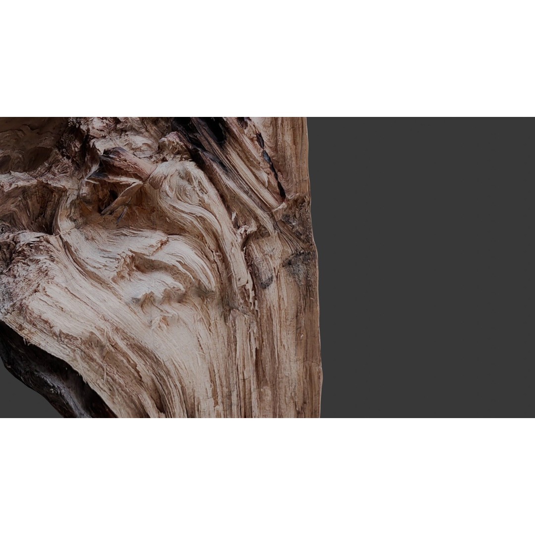 Weathered Tree Stump 3D Model – Low Poly PBR Asset for Games and Visuals - View 5