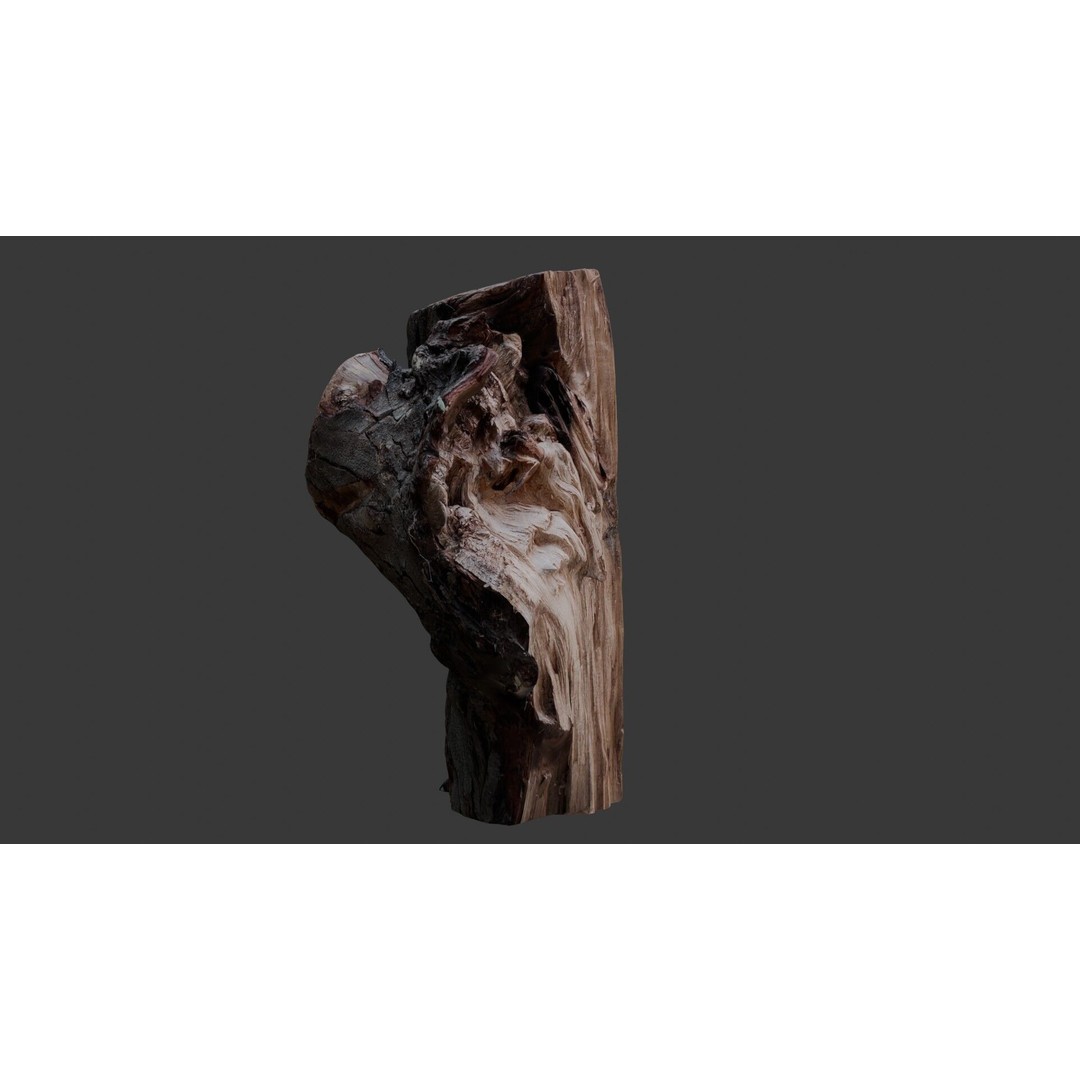 Weathered Tree Stump 3D Model – Low Poly PBR Asset for Games and Visuals - View 6