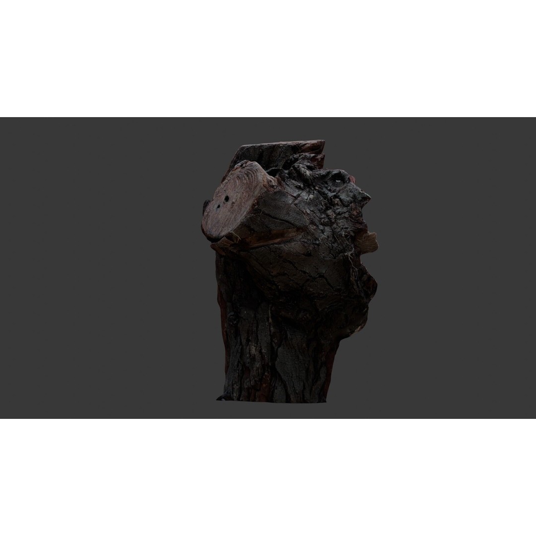 Weathered Tree Stump 3D Model – Low Poly PBR Asset for Games and Visuals - View 7