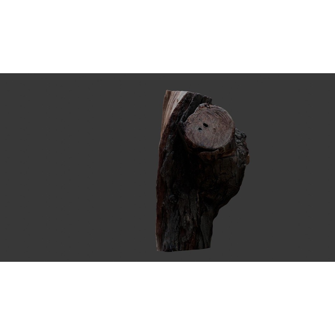 Weathered Tree Stump 3D Model – Low Poly PBR Asset for Games and Visuals - View 8