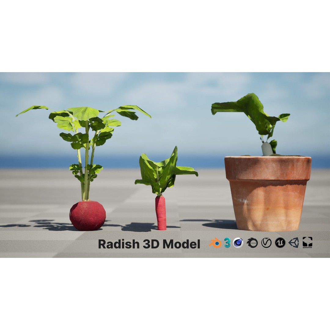 Radish Plant Collection 3D Model – Low Poly Game Asset, FBX - View 3