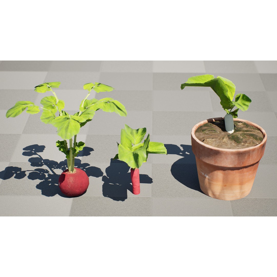 Radish Plant Collection 3D Model – Low Poly Game Asset, FBX - View 7