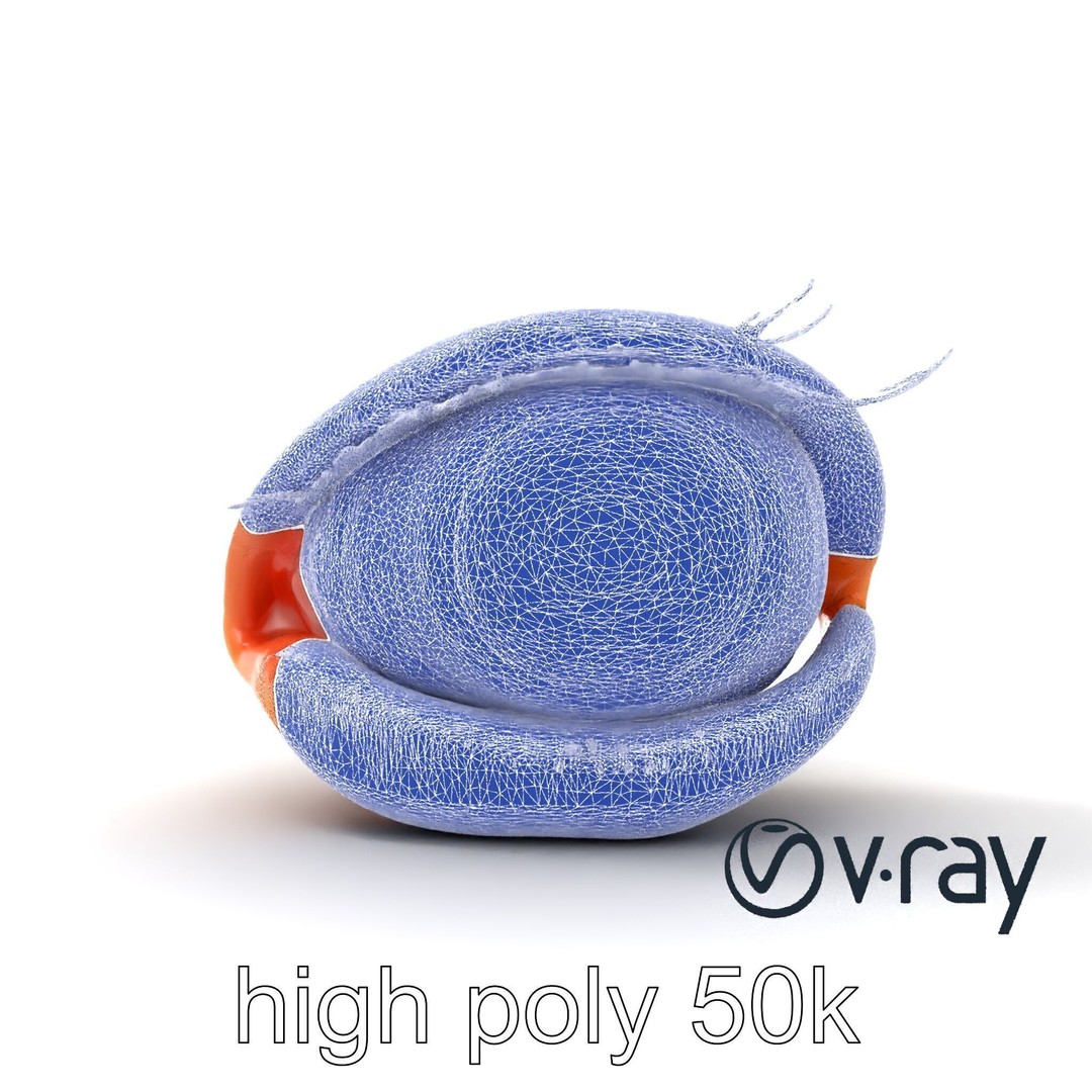 Realistic Human Eye 3D Model – Low Poly PBR Asset for Games and Rendering