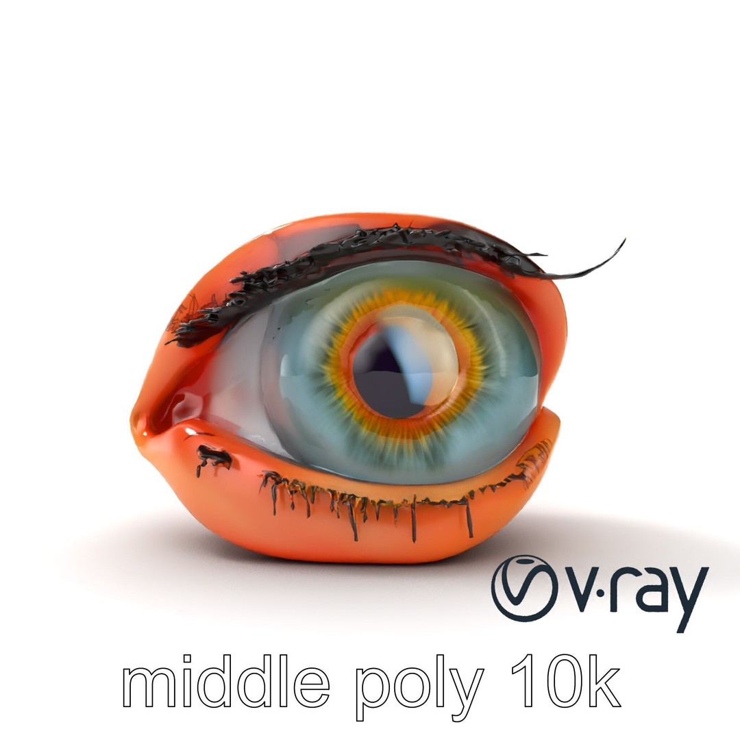 Realistic Human Eye 3D Model – Low Poly PBR Asset for Games and Rendering - View 29