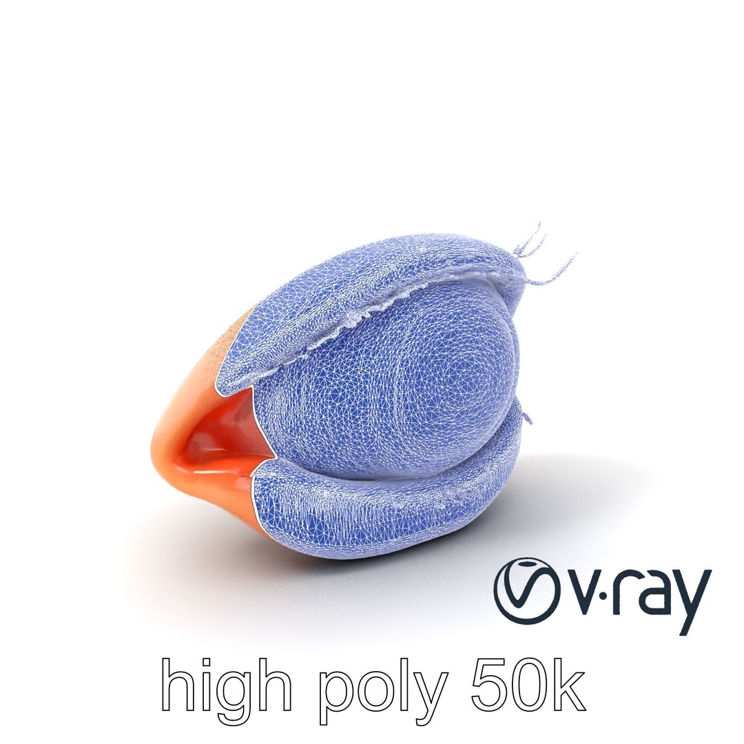 Realistic Human Eye 3D Model – Low Poly PBR Asset for Games and Rendering - View 9