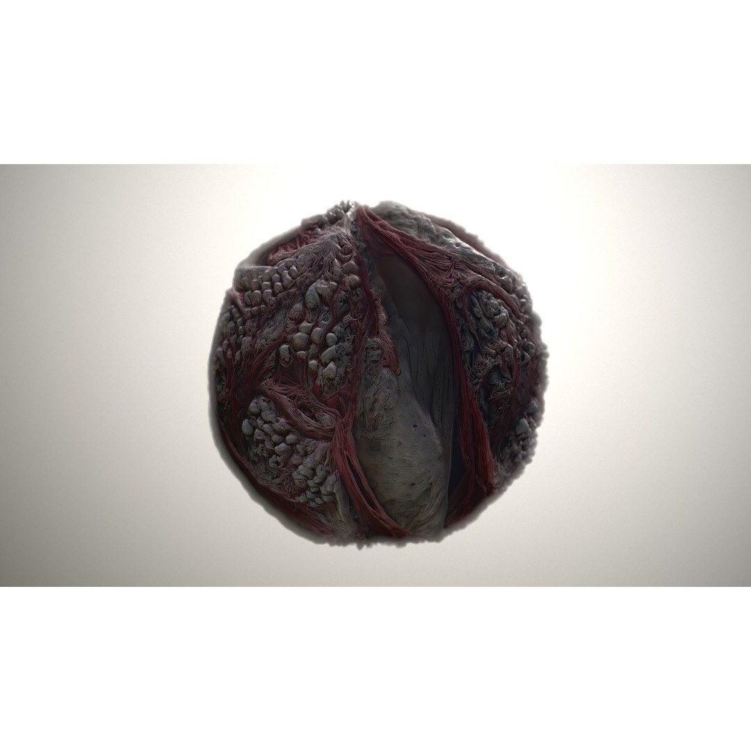 Skin Monster 3D Model – Seamless PBR Texture for Characters - View 20