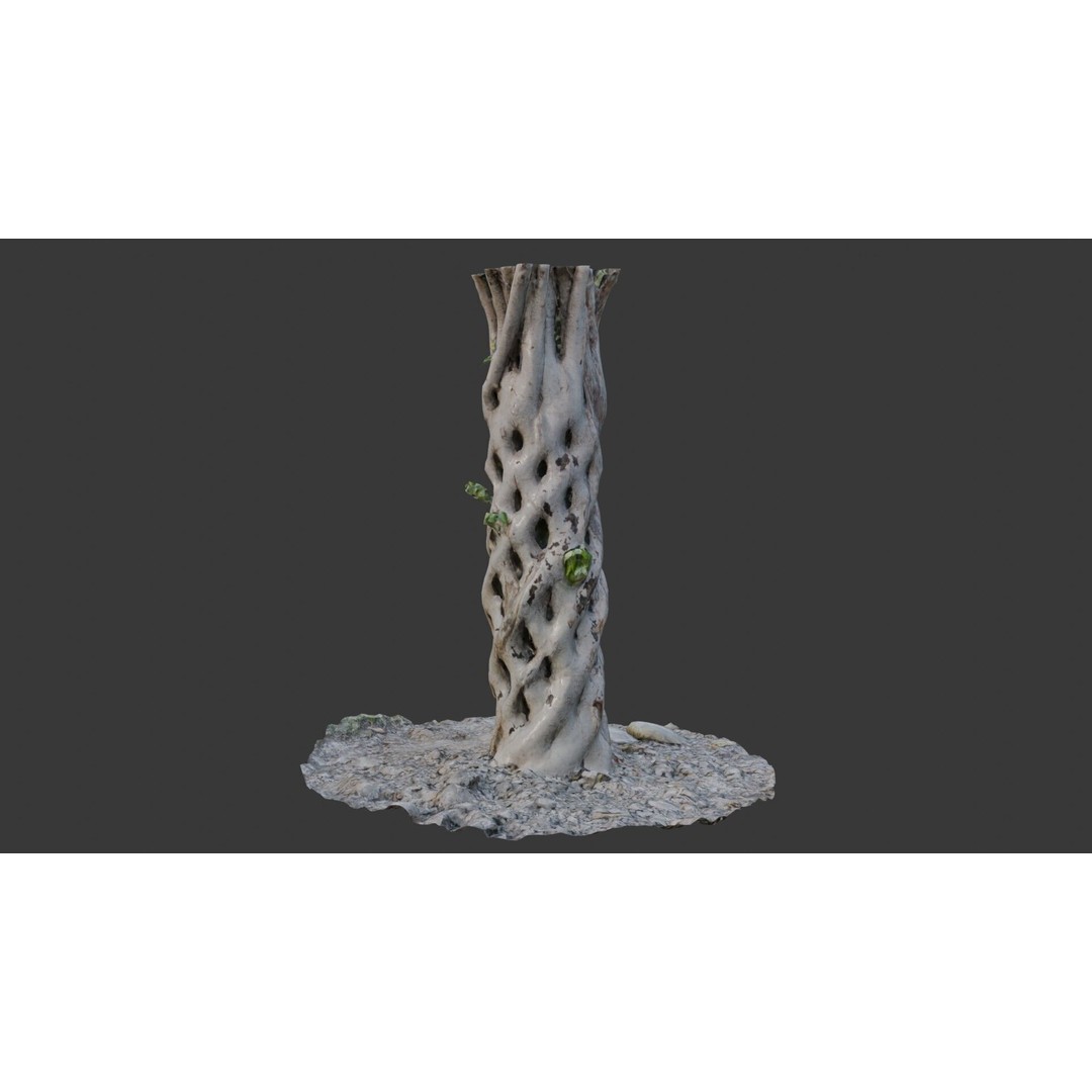 Twisted Hollow Tree Trunk 3D Model – Low Poly Scanned Asset, PBR Textures