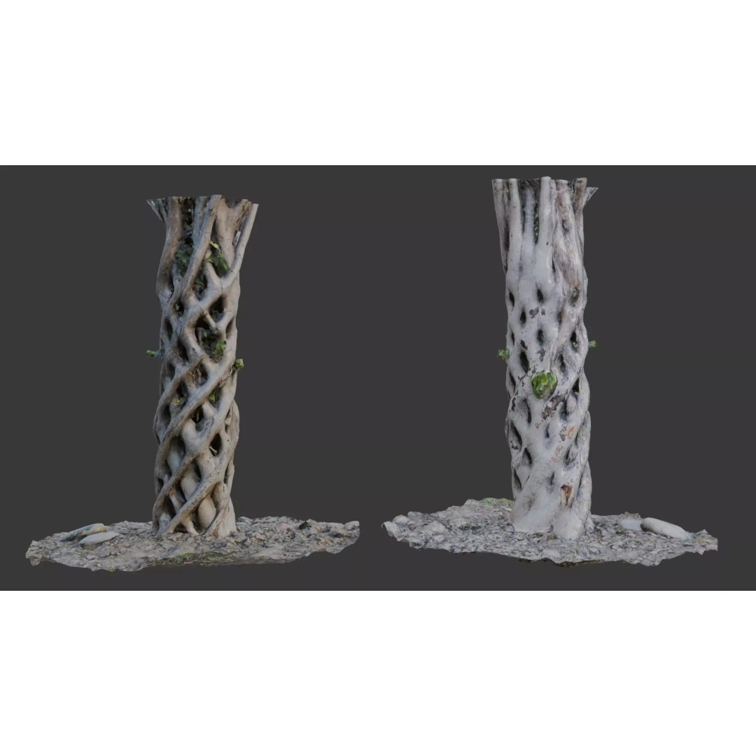 Twisted Hollow Tree Trunk 3D Model – Low Poly Scanned Asset, PBR Textures - View 2