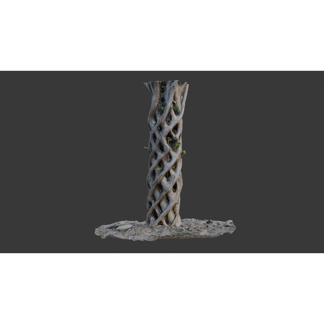 Twisted Hollow Tree Trunk 3D Model – Low Poly Scanned Asset, PBR Textures - View 3