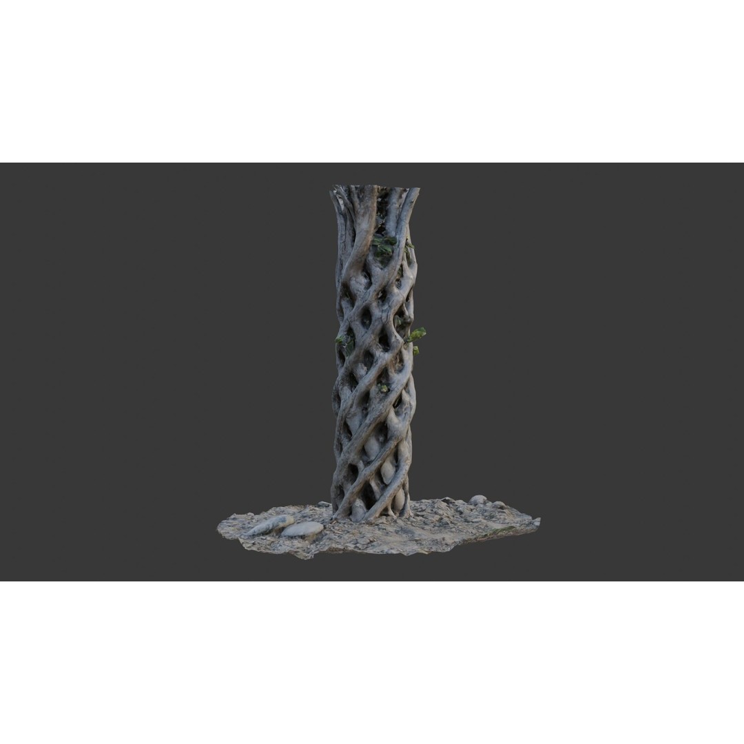 Twisted Hollow Tree Trunk 3D Model – Low Poly Scanned Asset, PBR Textures - View 5
