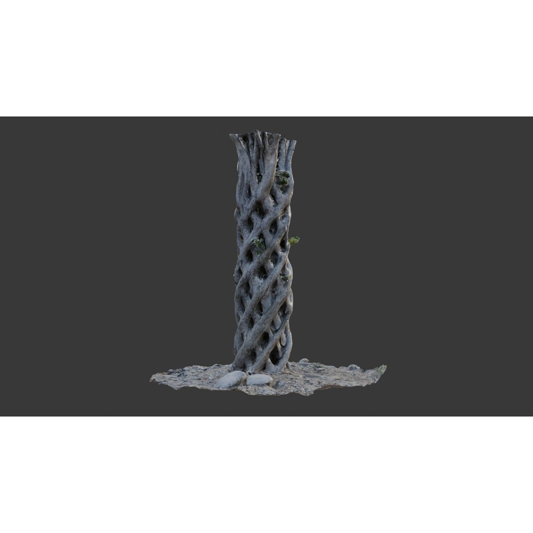 Twisted Hollow Tree Trunk 3D Model – Low Poly Scanned Asset, PBR Textures - View 6