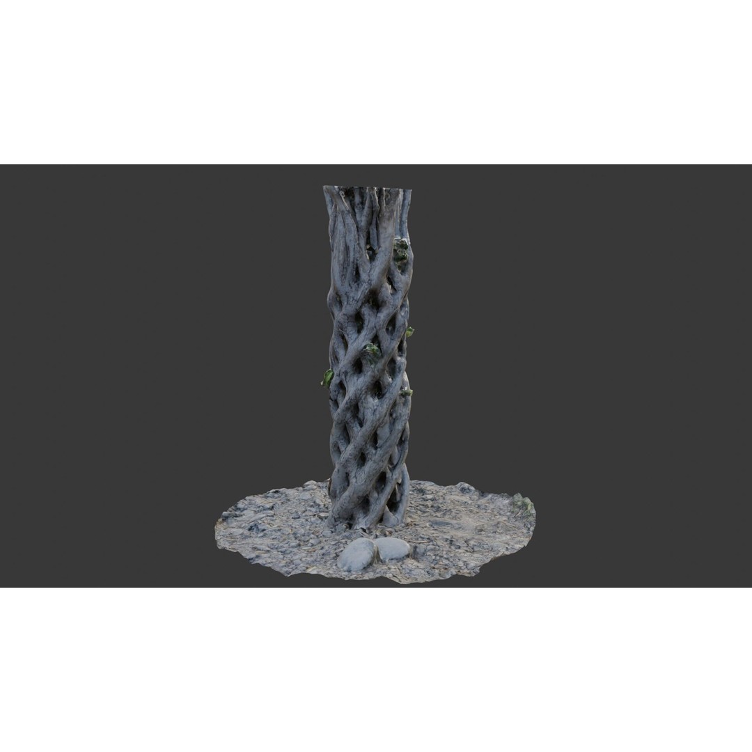Twisted Hollow Tree Trunk 3D Model – Low Poly Scanned Asset, PBR Textures - View 7