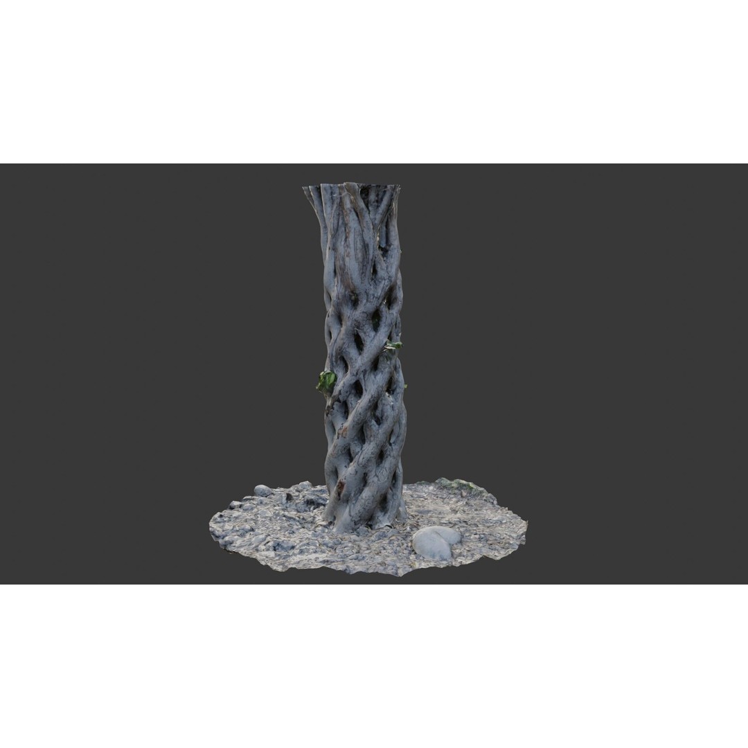 Twisted Hollow Tree Trunk 3D Model – Low Poly Scanned Asset, PBR Textures - View 8