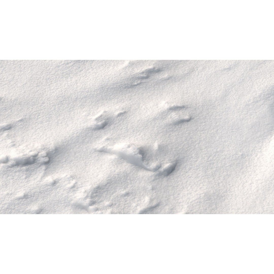 Snow 3D Model – PBR Low-Poly Terrain Asset, FBX, OBJ, Blender - View 13