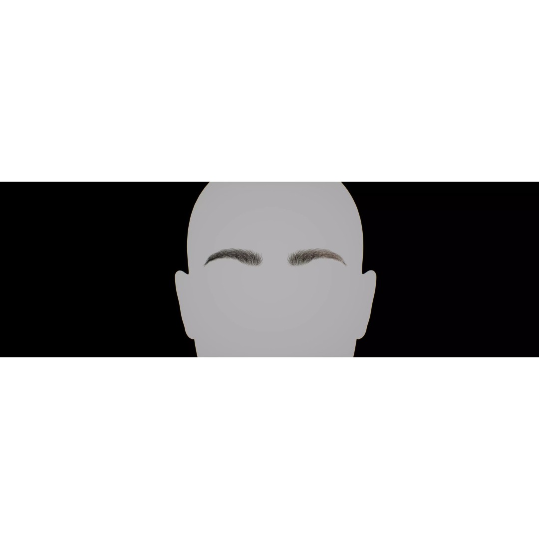 Realistic Male Eyebrow Pack 3D Model – Low Poly Game Asset, FBX, OBJ - View 13