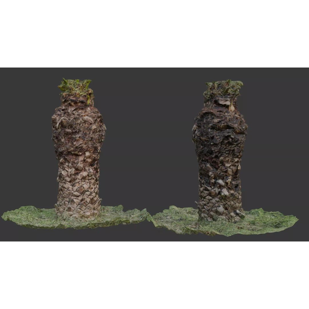 Palm Tree Trunk 3D Model – Low Poly Scanned Asset with PBR Textures - View 2