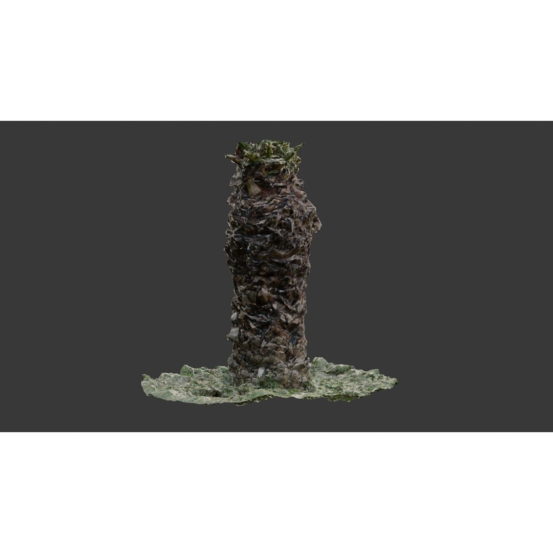 Palm Tree Trunk 3D Model – Low Poly Scanned Asset with PBR Textures - View 8