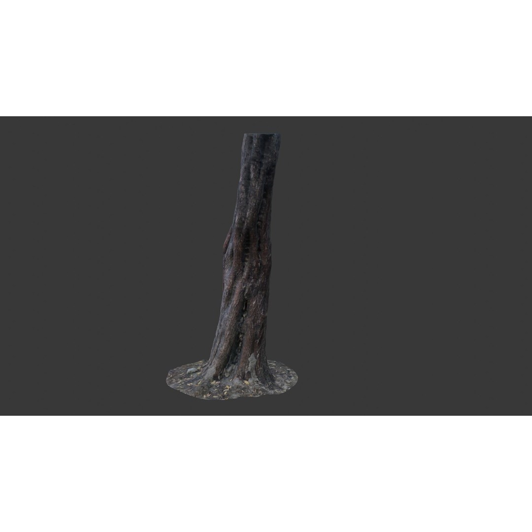 Split Tree Trunk 3D Model – Low Poly Scanned Asset with PBR Textures, FBX