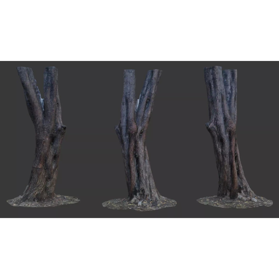 Split Tree Trunk 3D Model – Low Poly Scanned Asset with PBR Textures, FBX - View 2